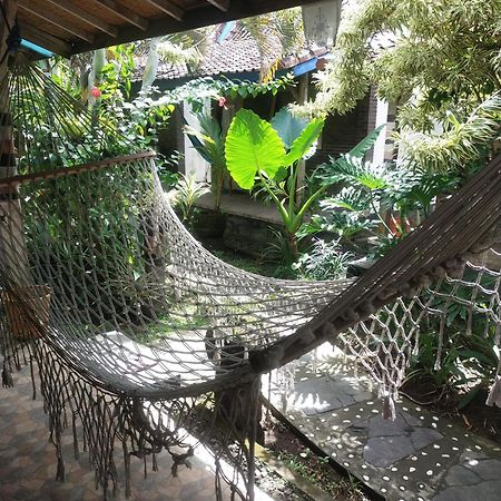 Comeback Guesthouse Canggu Exterior foto
