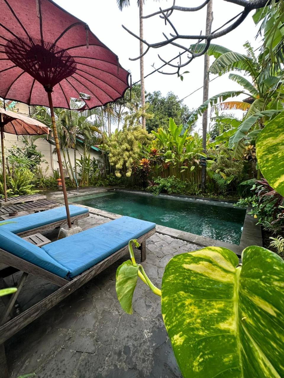 Comeback Guesthouse Canggu Exterior foto