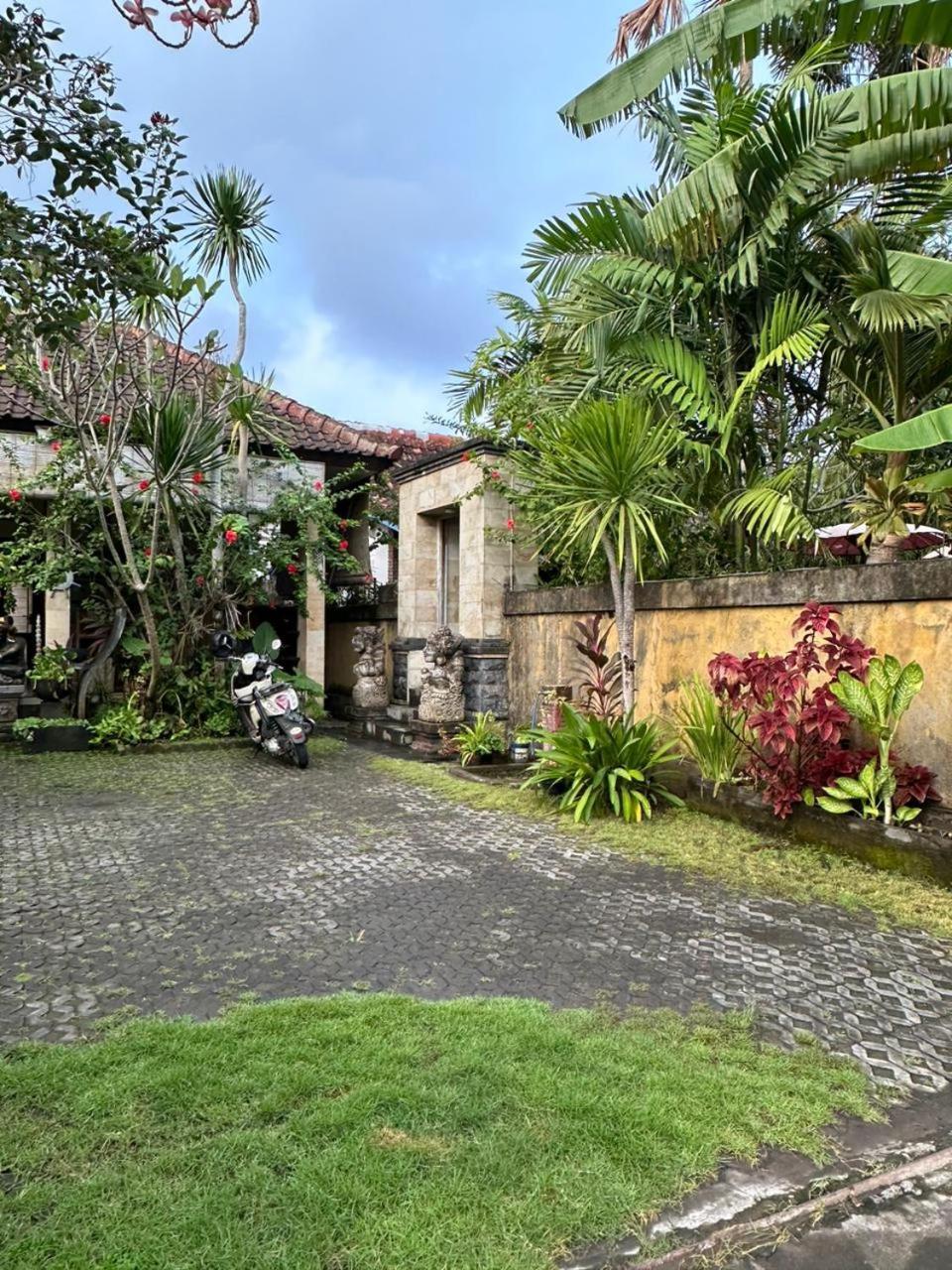 Comeback Guesthouse Canggu Exterior foto
